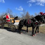 Christmas in the Park