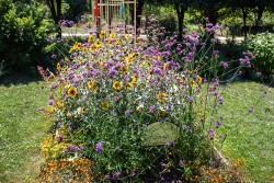 Demonstration Garden - Donohoe Center