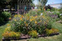 Demonstration Garden - Donohoe Center