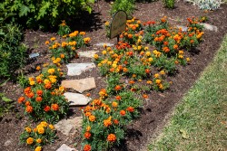 Demonstration Garden - Donohoe Center